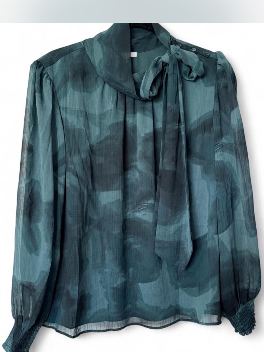 DR2 Teal Green Tie-Neck Sheer Blouse